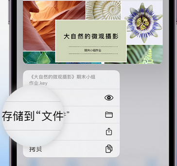 会理apple维修中心分享iPhone文件应用中存储和找到下载文件