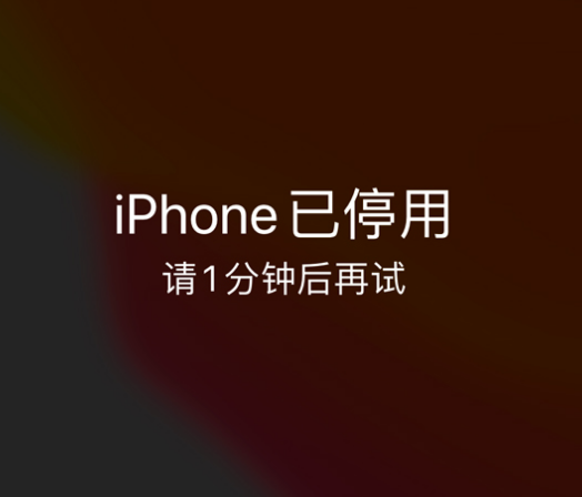 会理苹果手机维修分享:iPhone 显示“不可用”或“已停用”怎么办？还能保留数据吗？ 