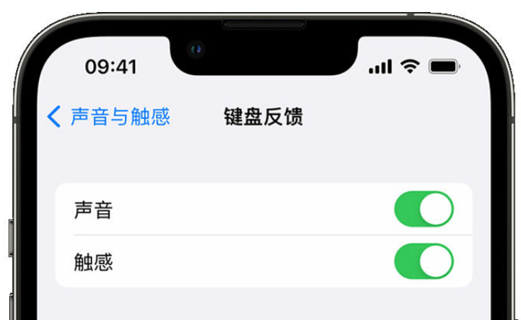 会理苹果手机维修分享iPhone 14触感键盘使用方法 