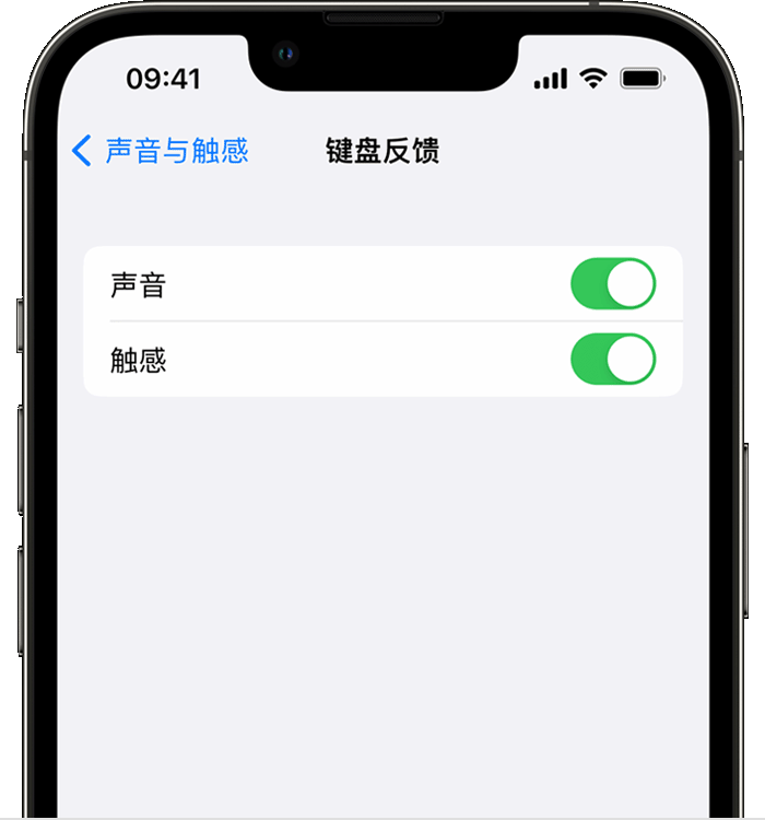 会理苹果14维修店分享如何在 iPhone 14 机型中使用触感键盘 