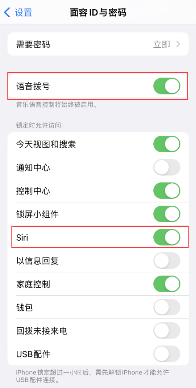 会理苹果维修网点分享不解锁 iPhone 的情况下通过 Siri 拨打电话的方法 