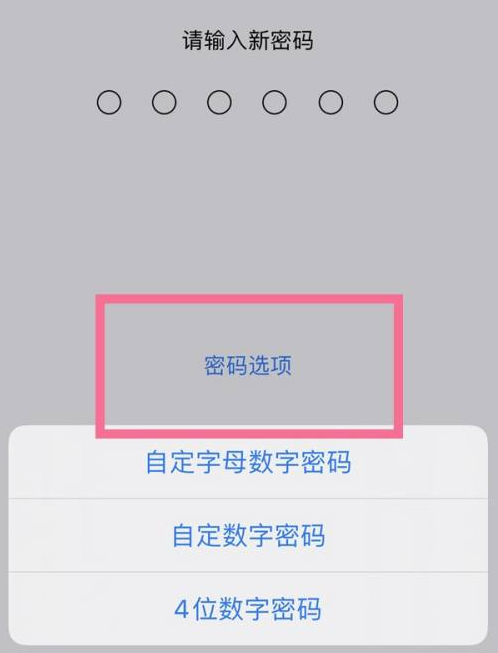 会理苹果14维修分享iPhone 14plus设置密码的方法 