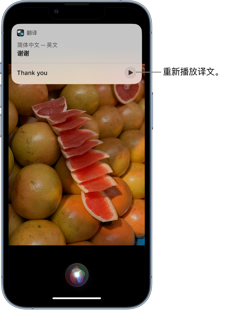 会理苹果14维修分享 iPhone 14 机型中使用 Siri：了解 Siri 能帮你做什么 