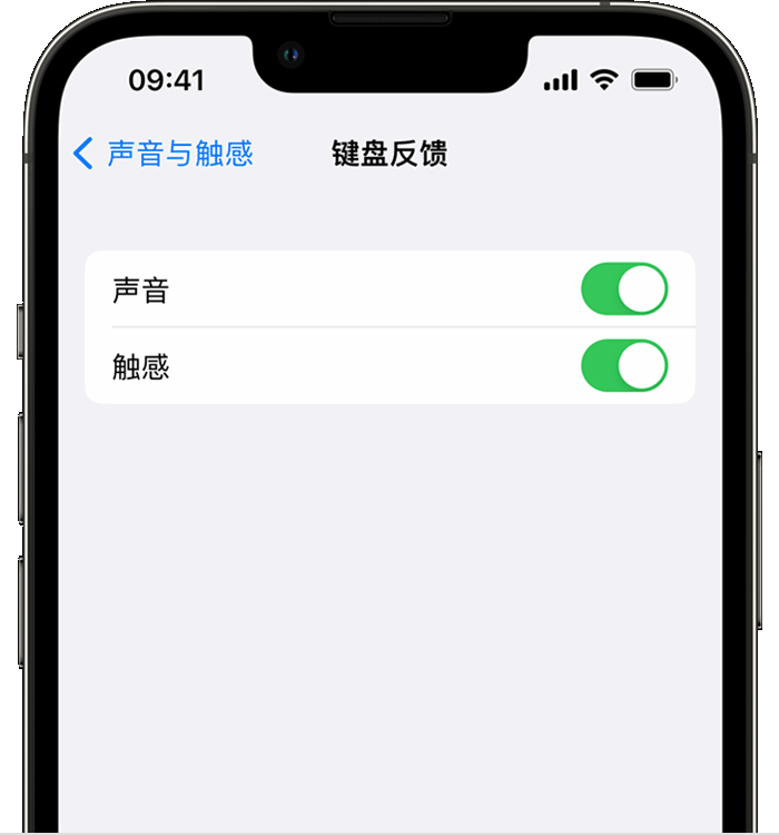 会理苹果14维修分享iPhone 14 系列机型如何开启键盘声音或触感反馈 