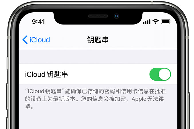 会理苹果手机维修分享在 iPhone 上开启 iCloud 钥匙串之后会储存哪些信息 