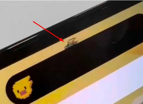 会理苹果14维修分享iPhone 14 Pro Max灵动岛怎么养宠物 