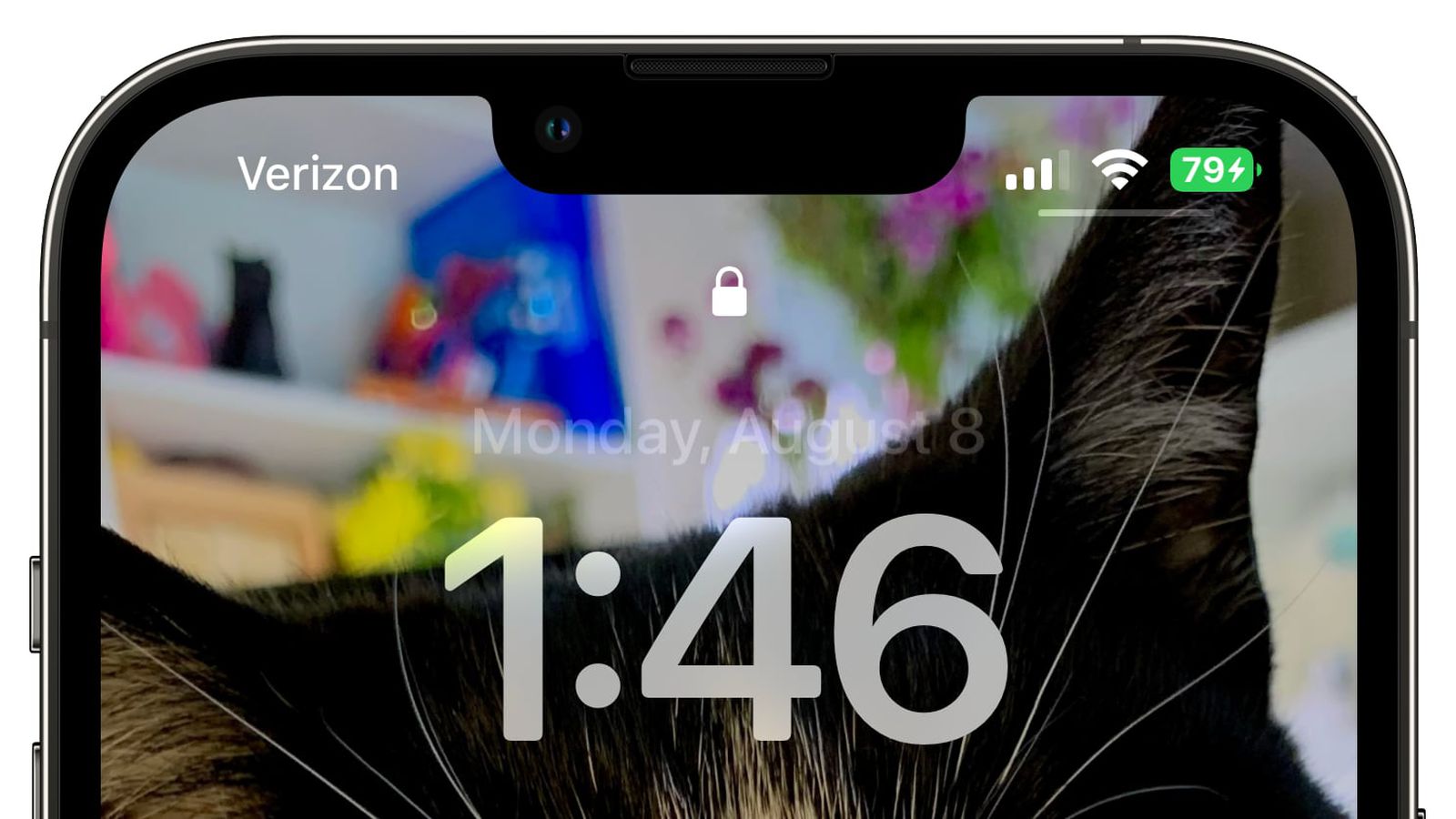 会理苹果手机维修分享iOS 16 beta 5 支持状态栏显示电池百分比，如何开启？支持哪些机型 