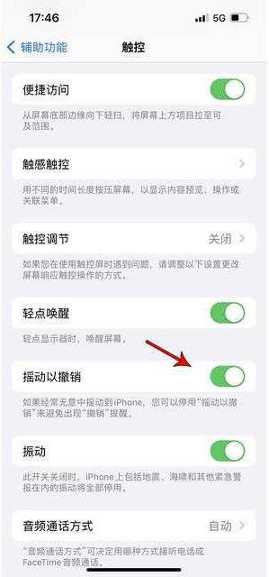 会理苹果手机维修分享iPhone手机如何设置摇一摇删除文字 