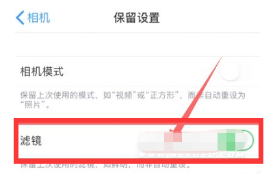 会理苹果13维修分享iPhone13拍照有绿点是怎么回事 