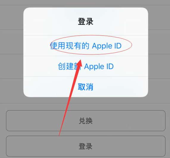 会理苹果手机维修分享两台iPhone设备可以同时登录一个Apple ID吗 