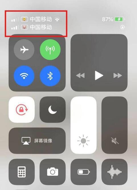 会理苹果手机维修分享为 iPhone 12 双卡设置标签 